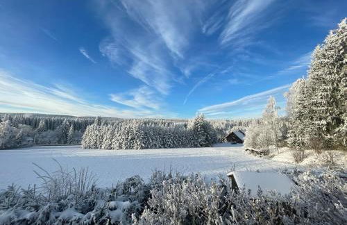 Klein aber fein - Apartment für 2 bis 4 Personen - Foto 44