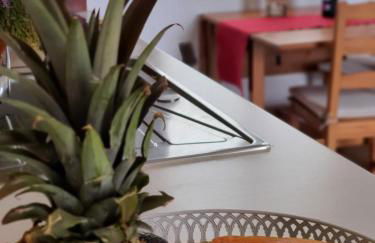 Viña Camello - Foto 43