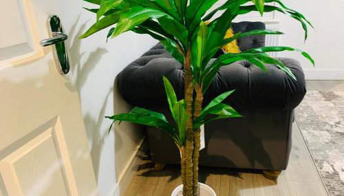 Beautiful, Luxurious 3 Bed house, Perfect for Contractors , Family & Friends - Foto 4