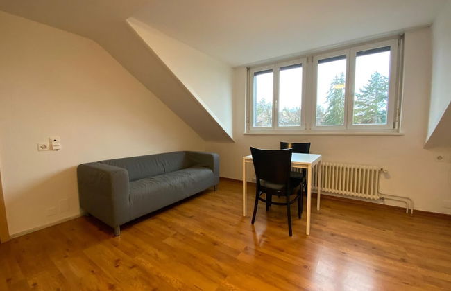 Swiss Star California - Foto 20