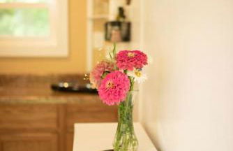 Tiny House Strouds Run Lake - Foto 34