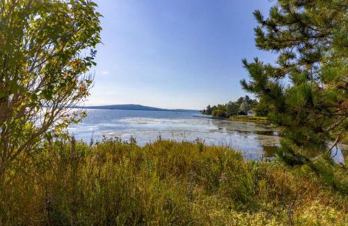 Moose Dance - Foto 11