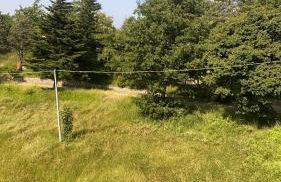 Da Santina 23 - Photo 13