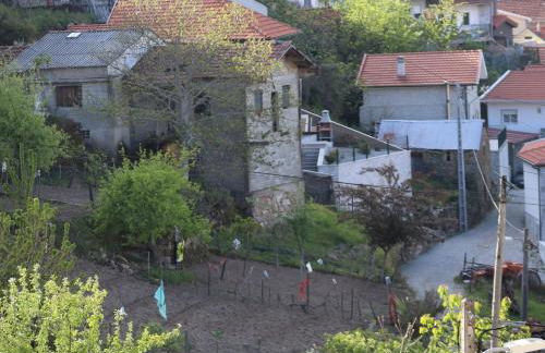 Comfortable Rural Cottage in Ancient Village in the Douro Region - Photo 61