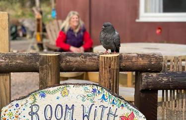 Room with a view - Photo 6