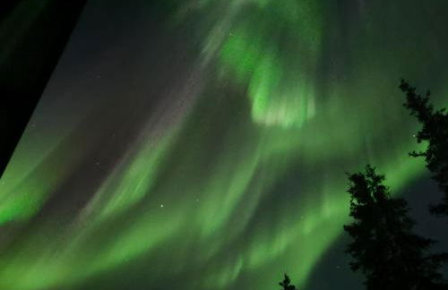 Little Bear Getaway Cabins - Foto 18