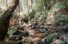 Refúgio Mata Atlântica, Riacho, Piscina, Natureza - Foto 27