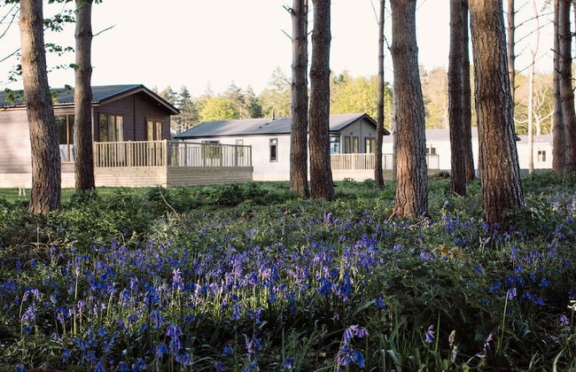 Hollicarrs - Wildflower Lodge - Foto 16