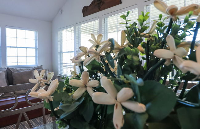 2nd Row Beach Home Ocean Views Old School Vibes - 1 min Walk to Sunny Beach - Foto 26