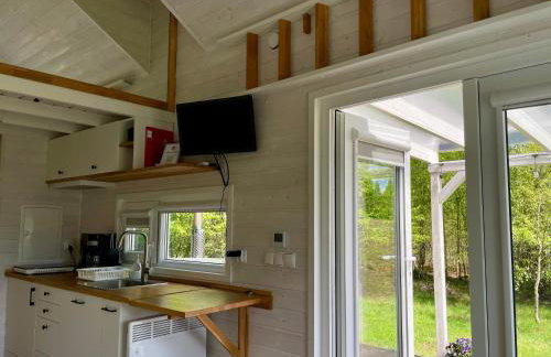 Leśne Siedlisko Wygonin - Foto 38