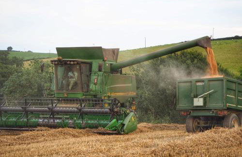 The Old Shippen, Drewsteignton - Foto 24