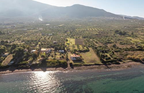 Anoixi Home New Pool and Evia Landscapes - Foto 22