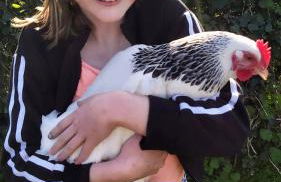 Beautiful Barn Conversion, 3 Bed, hot tub, sauna, gym, enclosed garden - Photo 12