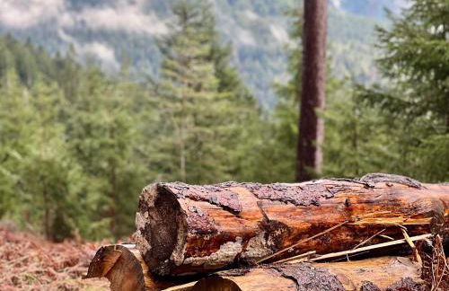 Tannenduft Freudenstadt - Foto 32