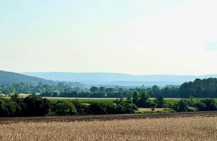 NEU Feinzeit Chalet mit privater Sauna - Foto 38