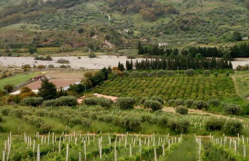 Agriturismo Feudo Gagliardi - Foto 26