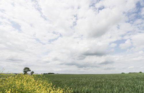 Robin's Nest Cottage - Foto 16