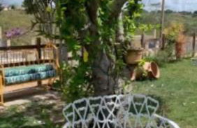 Nega Joana - Foto 15