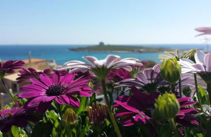 Apartments TERRAZZA DEI DUE MARI - Foto 27