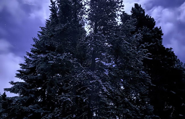 Lichen Huts - Foto 6