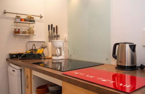 Oustal de Papé le calme au cœur de Mirepoix - Foto 10