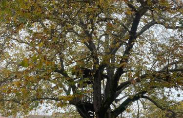 Capris Rustic Ηouse with Mountain View - Foto 41