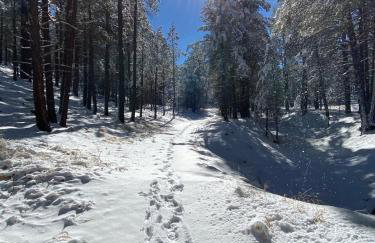 Change of Altitude 7320 - Foto 8