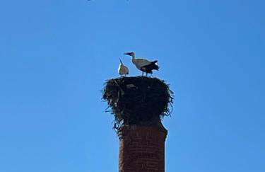 Casa Martim - Foto 52