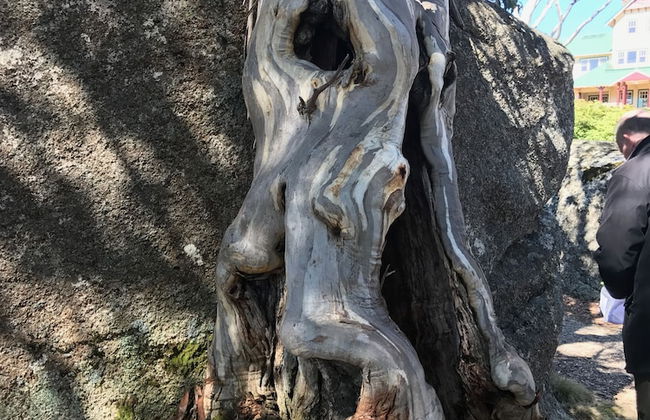 Ironstone Romantic Couples Retreat - Photo 19