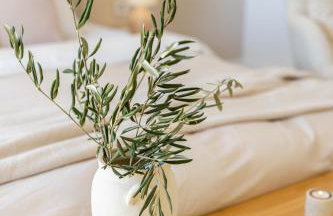 Holiday house Castelli - Photo 20