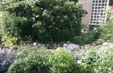 Gartentraum - Foto 33