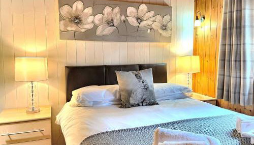 Snowdrop 13-Hot Tub-Woodlandlodges-Carmarthenshire - Foto 4