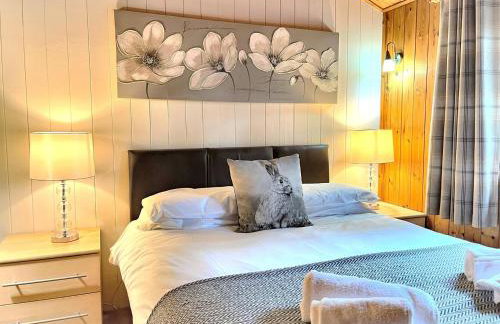 Snowdrop 13-Hot Tub-Woodlandlodges-Carmarthenshire - Foto 4