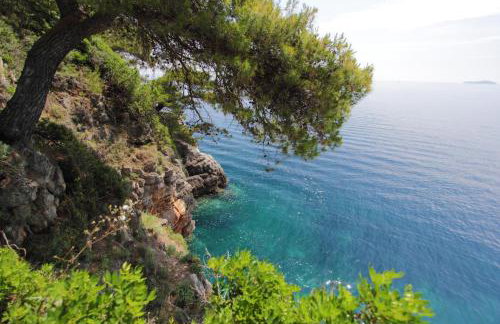 Kalamota Beach House - Photo 78