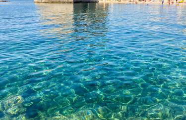 Vue mer incroyable Toulon Le Mourillon - Foto 13