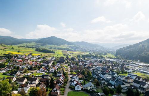 Alte Schmiede - Foto 8