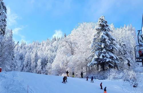 Chalet cosy entre lacs et montagnes - Foto 2