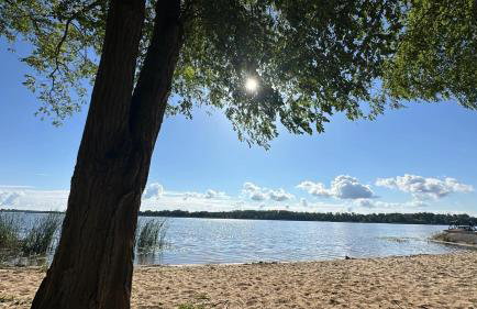 Gold Pearl Zegrze - Foto 3