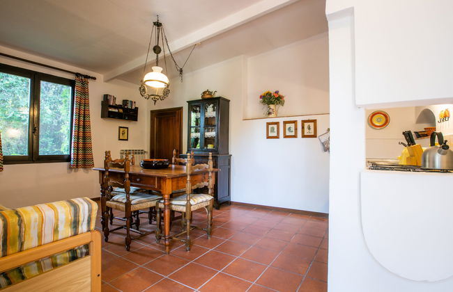 Bardeggiano - Caterina 7 - Foto 8