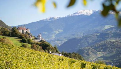 RÖCK Weingut - winery - Foto 2