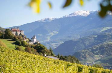 RÖCK Weingut - winery - Foto 2