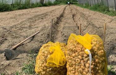 Cascina Borgofrancone - Foto 68