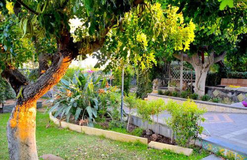 Angelo Delle Aci - Foto 41