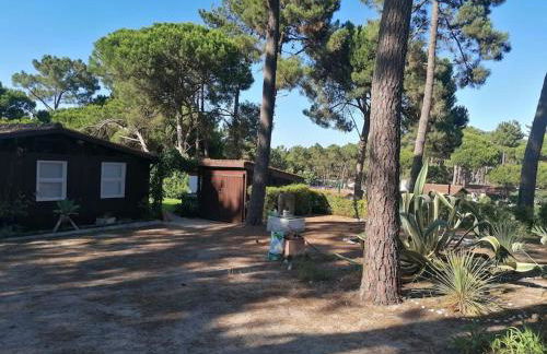 Casa da Lagoa - Foto 2