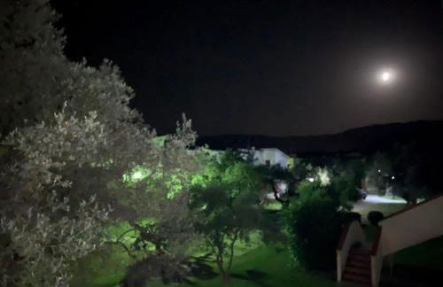 Brezza marina - Foto 21