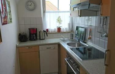 "Giseldas Rosen" - Allergikerfreundliche Ferienwohnung mit Wintergarten - Foto 12