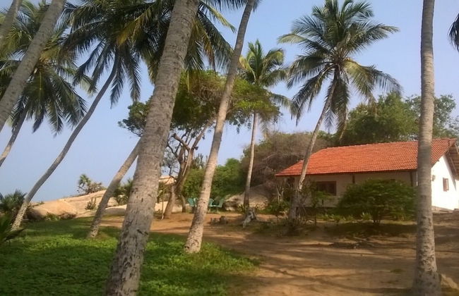 Redhill Yala - Photo 16