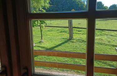 Ferienhof Schmeder-Heide - Foto 17