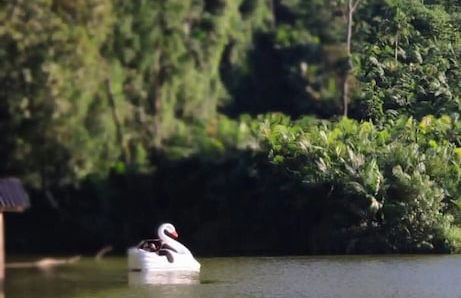 Vila Paraíso - Blumenau - SC - Photo 58