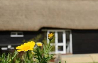 The Old Ironhouse - Foto 13